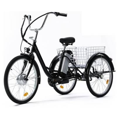 Viribus 3-Wheel Electric Bike