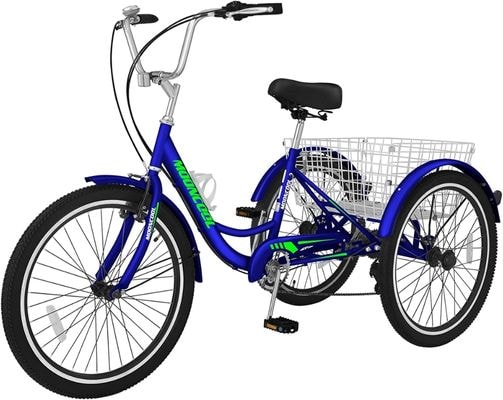 slsy-adult-trike
