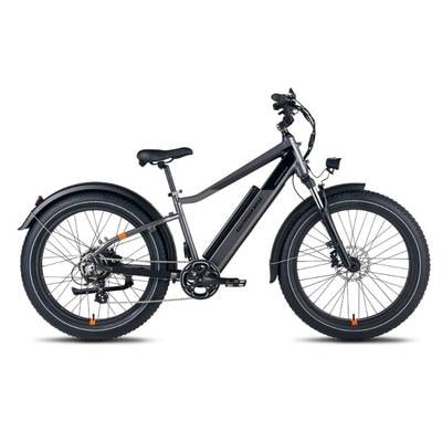 RadRover 6 Plus E-bike