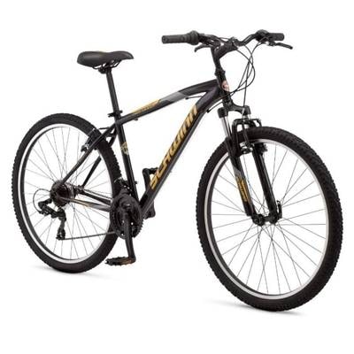 Schwinn High Timber