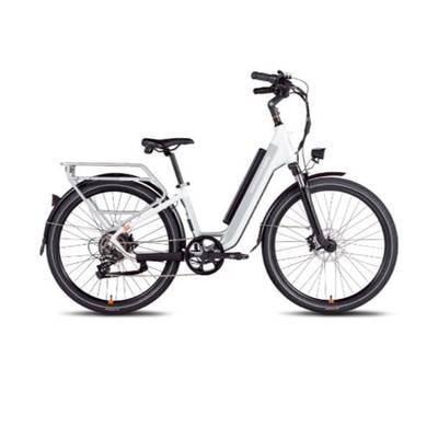 RadCity 5 E-Bike