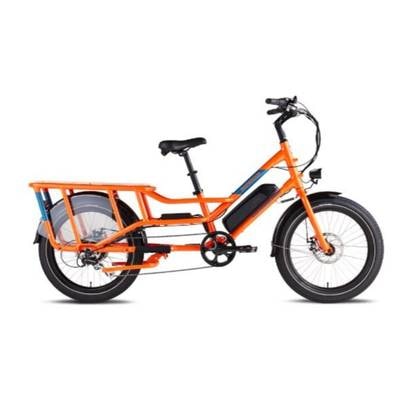 Rad Power Bikes RadWagon 4