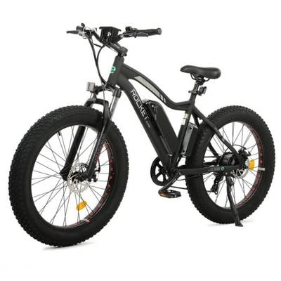Ecotric Electric Snow 500W E-Bike