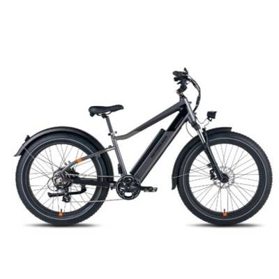 Rad Power RadRover 6 Plus 750W E-Bike