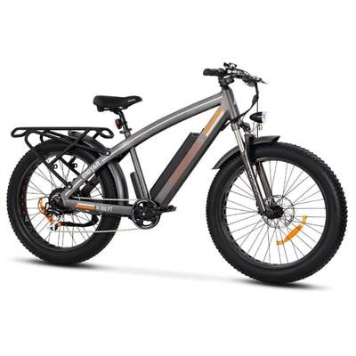 Addmotor Fat Tire Motan M-560 750W E-Bike
