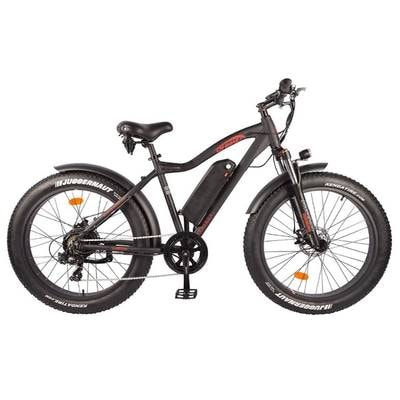 DJ Fat Bike 750W E-bike