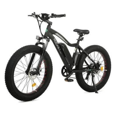 ECOTRIC Electric Fat Tire Bike
