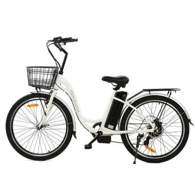 Ecotric Peacedove Electric Bike