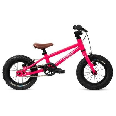 Cleary Gecko Bike