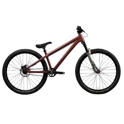 Santa Cruz Jackal