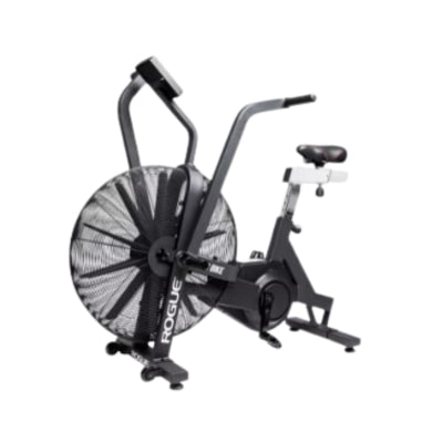 Rogue Echo Bike