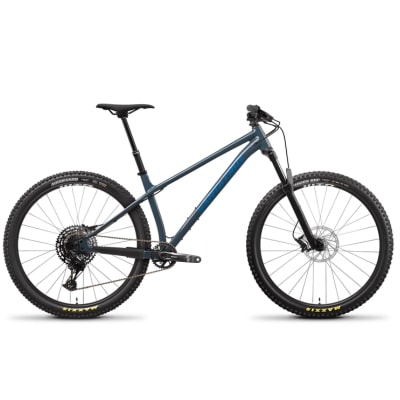 Santa Cruz Chameleon