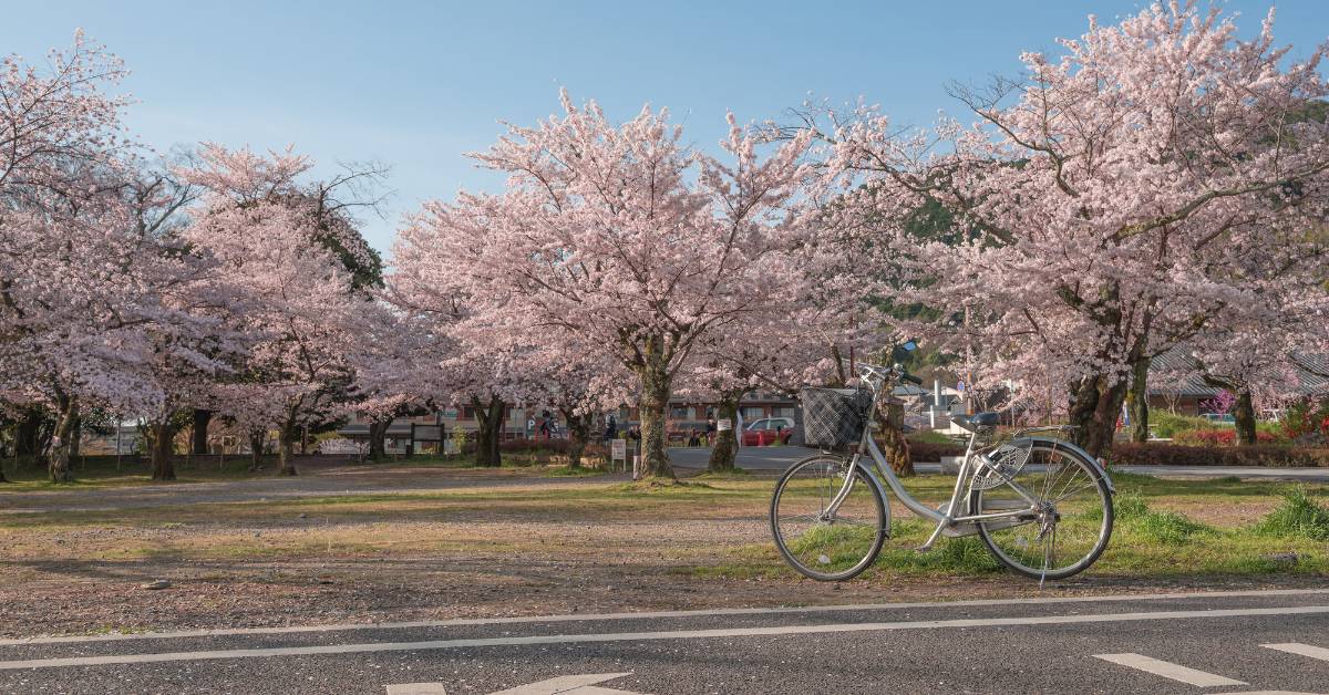 Kyoto