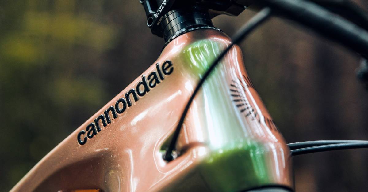 Cannondale Brand