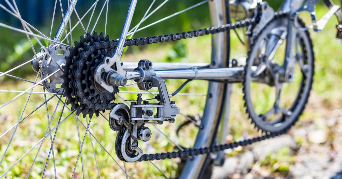 Freewheel Bike