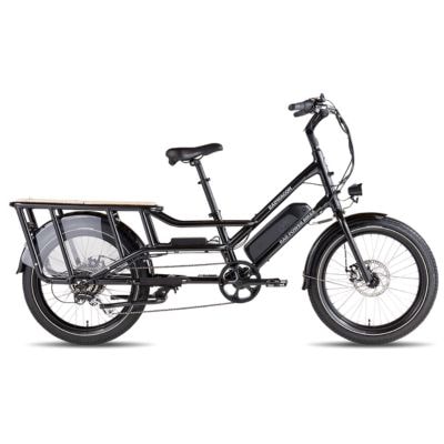 Rad Power Bikes RadWagon 4