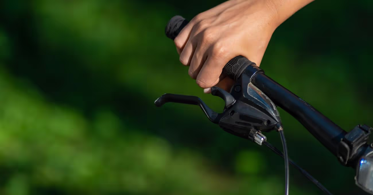 What Is A Bicycle Clutch?