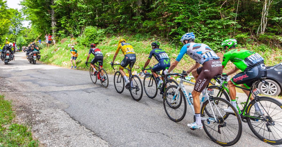 Who Owns Cannondale Bikes?
