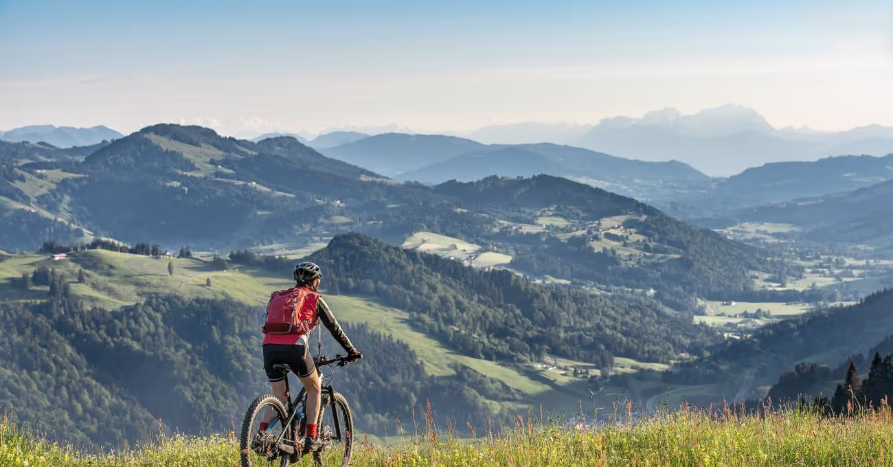 How Much Does A Trek 820 Weigh?