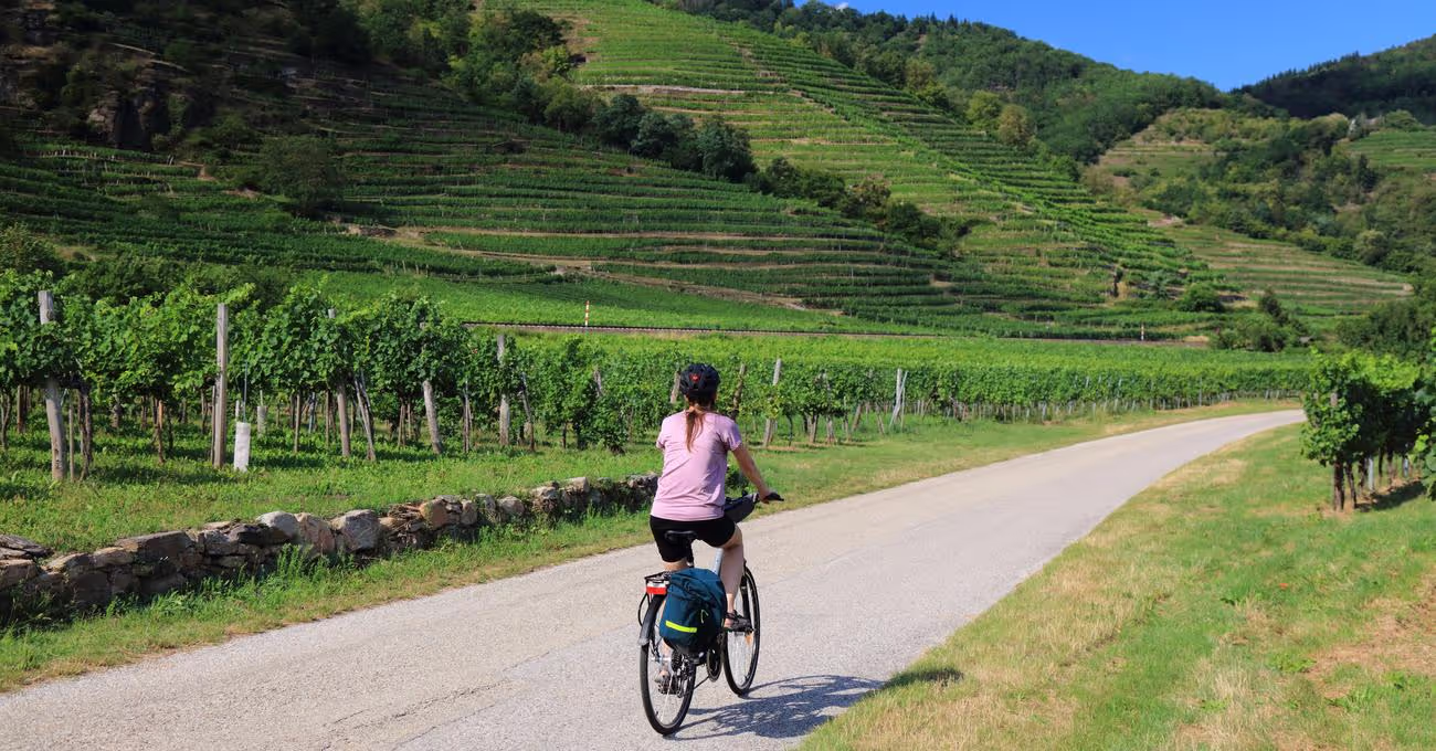 4 Signs You\x27re Suited for Long-Distance Rides or Short Sprints