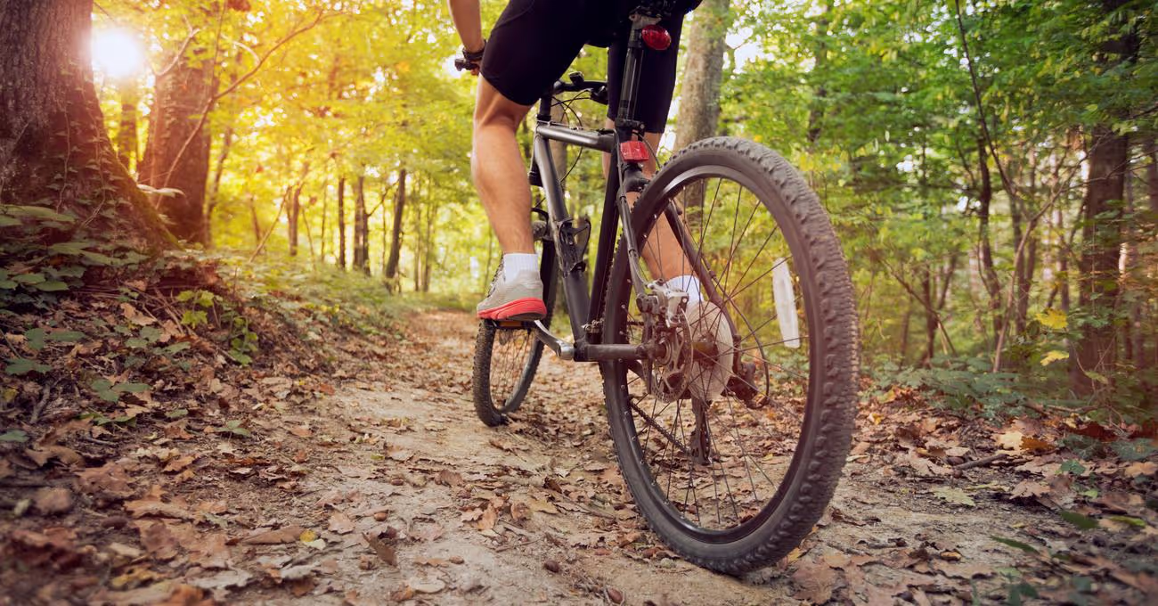 Bike Weight Limit: How Much Can One Hold?