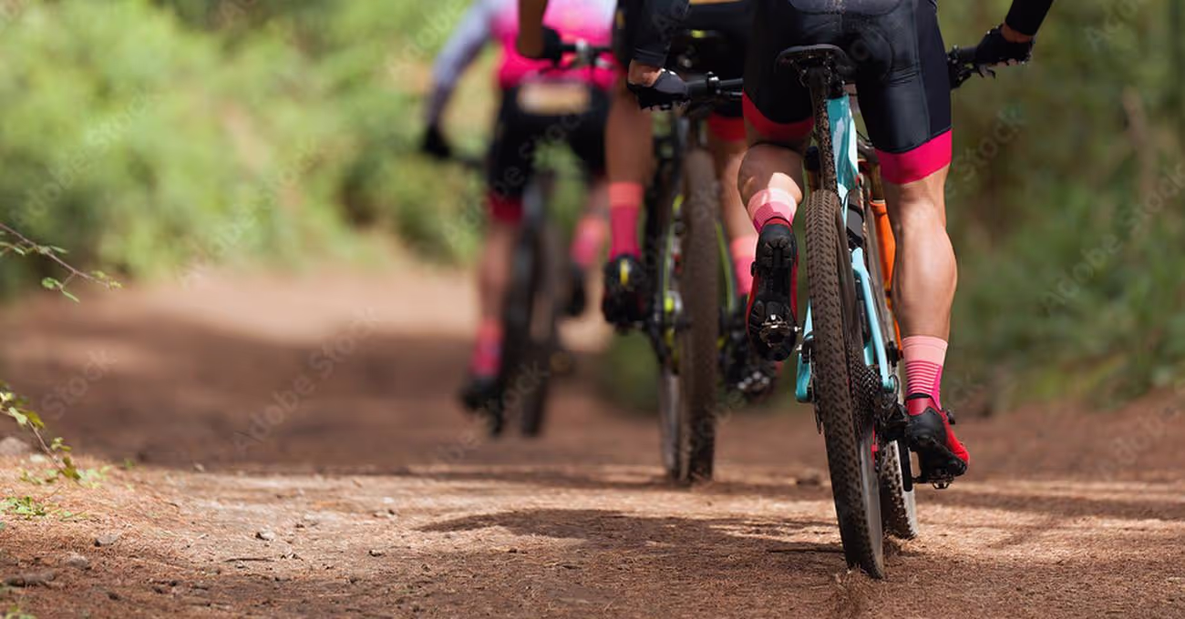 Best Bikes For All Terrain