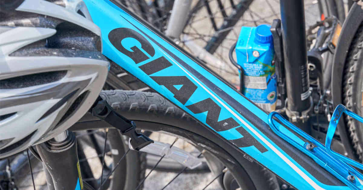 What Year Is My Giant Bike?