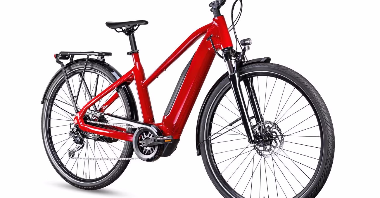 Who Owns Trek Bikes?