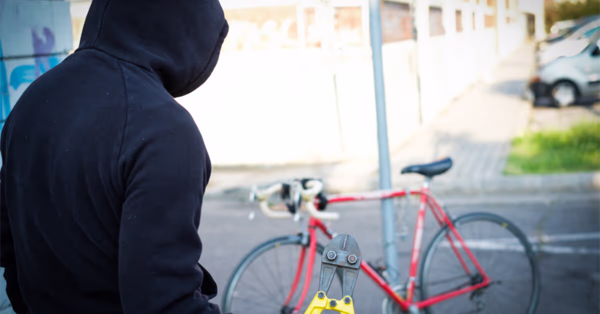 Why Do People Steal Bikes?