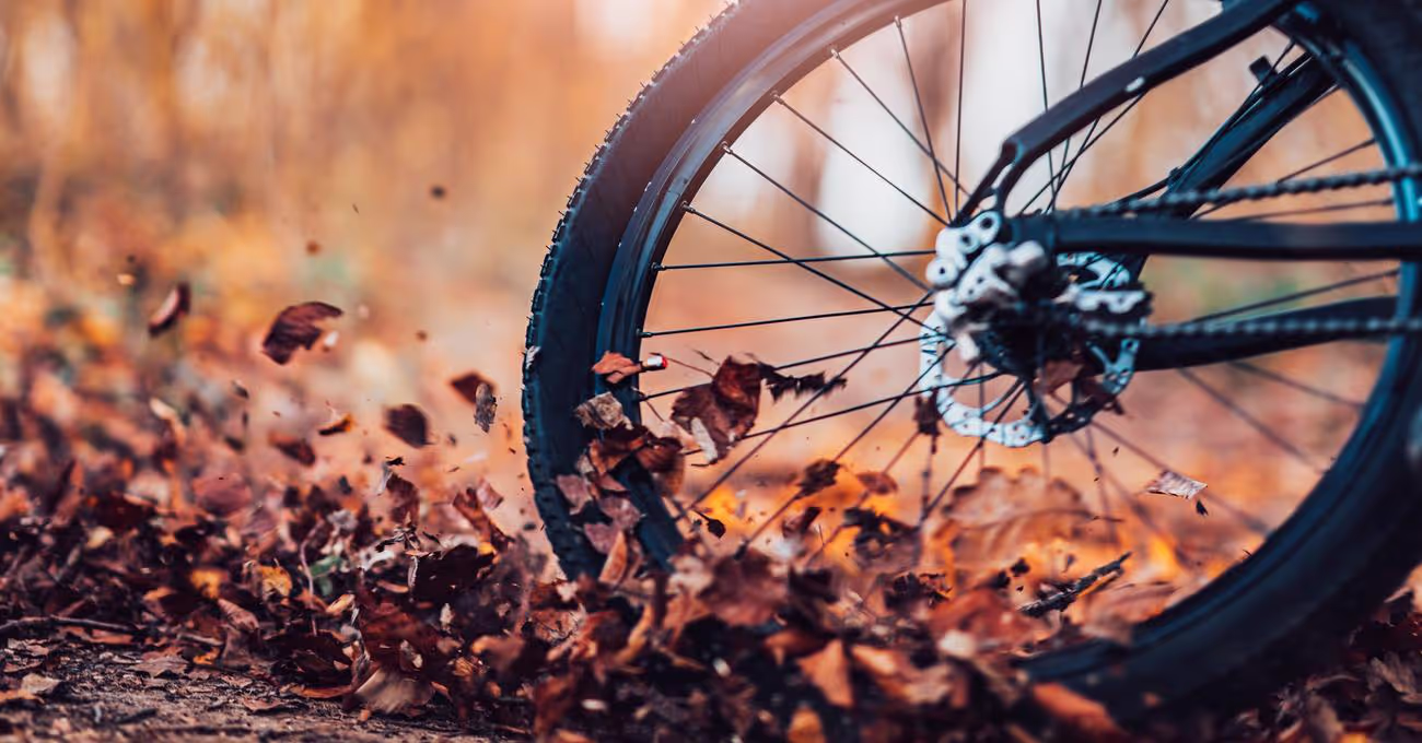 Best Yeti Bikes