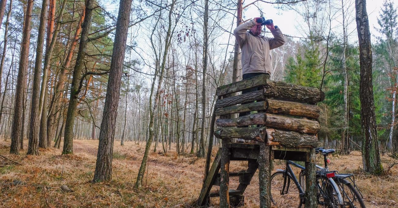 Best Bikes For Hunting