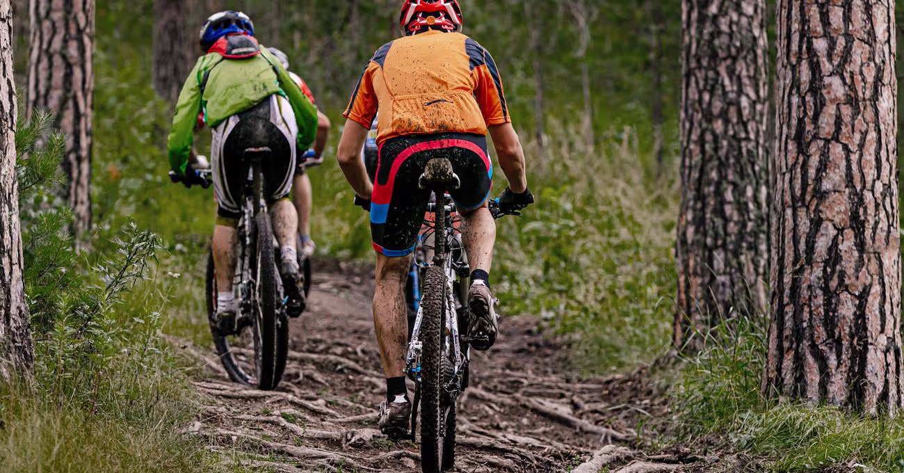 Best Bikes For Endurance Rides