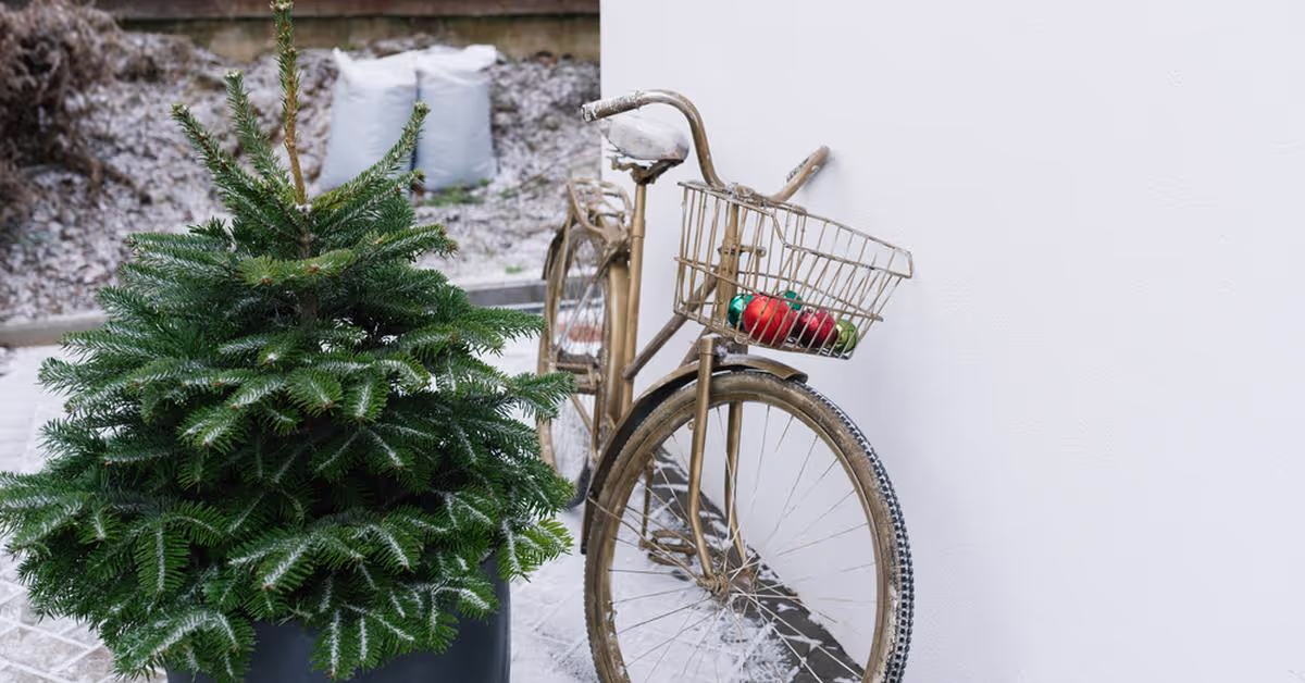 Where To Donate Bikes For Christmas