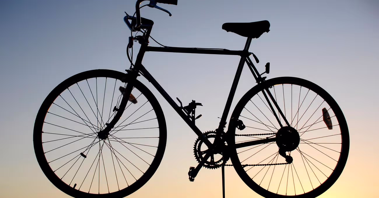 Schwinn World Sport Review