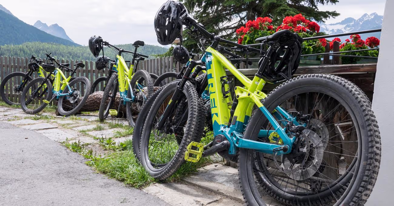 Best Trek Bikes