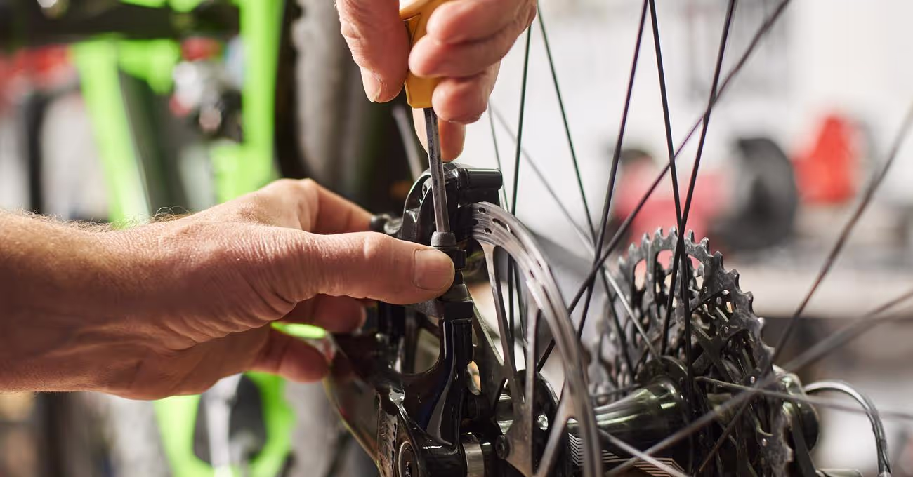 What Are Coaster Brakes On A Bike?