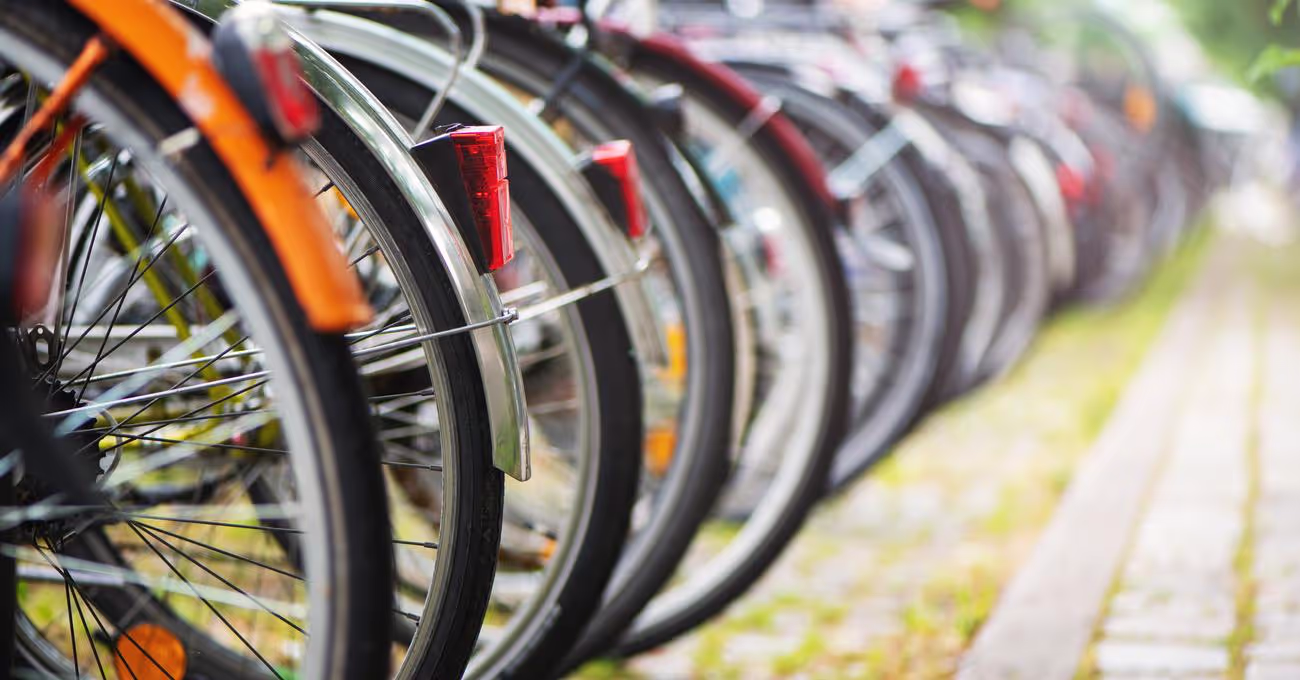 Best Bikes For Everything