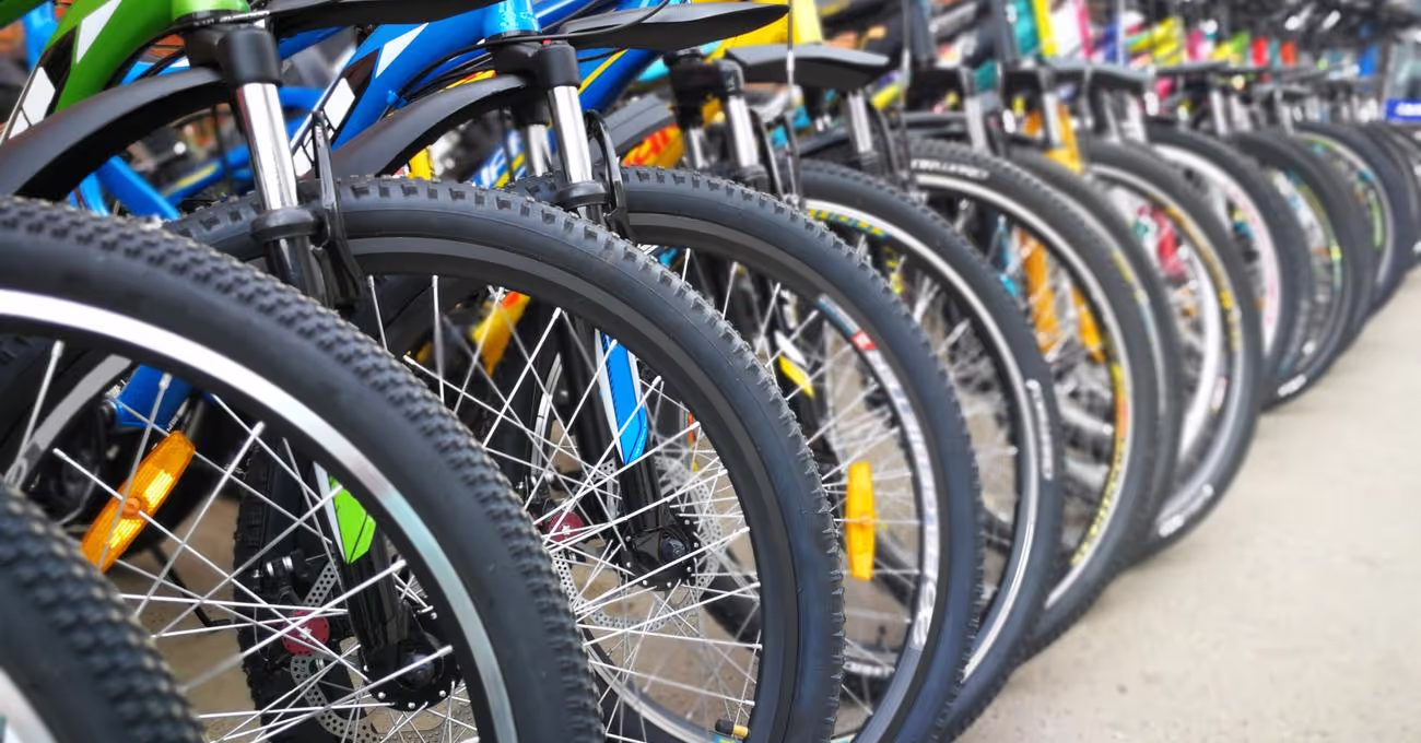 Best Bikes For Under $300