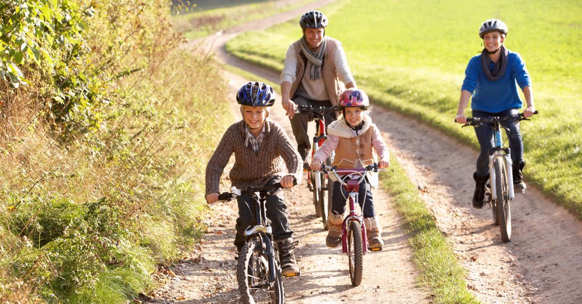 Best Bikes For Parents